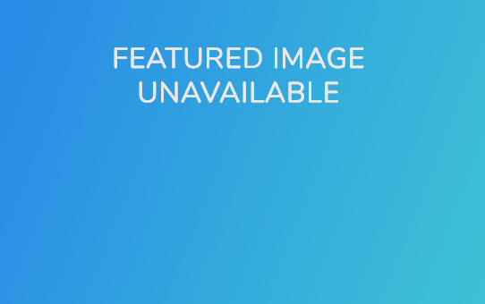 Mon parcours professionnel